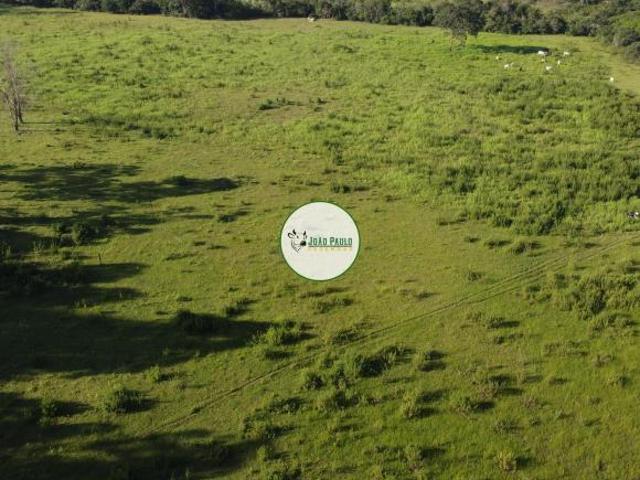 Fazenda a venda em João Pinheiro 846,85 HA CAFÉ CANA GRÃOS ETC