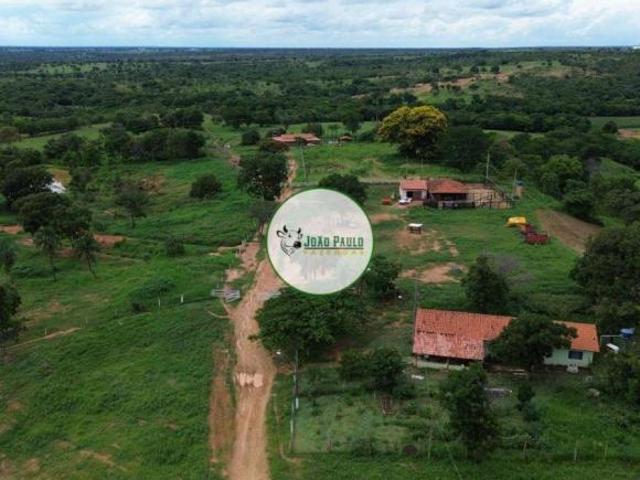 Fazenda a venda em João Pinheiro 217 Hectares 170 hectares formada em braquiária e Mombaça