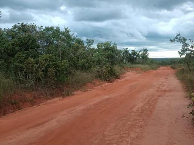 Fazenda a venda em João Pinheiro 2600 HA Ótima para plantio de cana