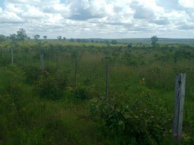Fazenda à venda em João Pinheiro MG: 2 quartos, 2 salas, 1 banheiro, 2 vagas de garagem, 20.805.200