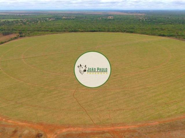 Fazenda a venda em Joao Pinheiro MG 201 Hectares 95 hectares irrigados