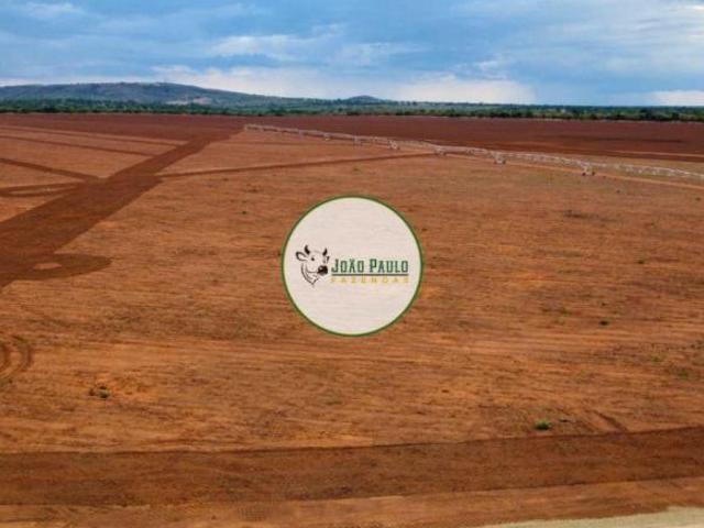 Fazenda a venda em Joao Pinheiro MG 300 Hectares 240 hectares em produção