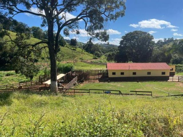 FAZENDA À VENDA EM JACUÍ MG OPORTUNIDADE ÚNICA NO AGRONEGÓCIO