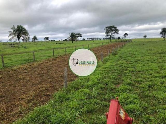 Fazenda a venda em Juína MT 1.050 hectares Sendo 600 hectares abertos e formados