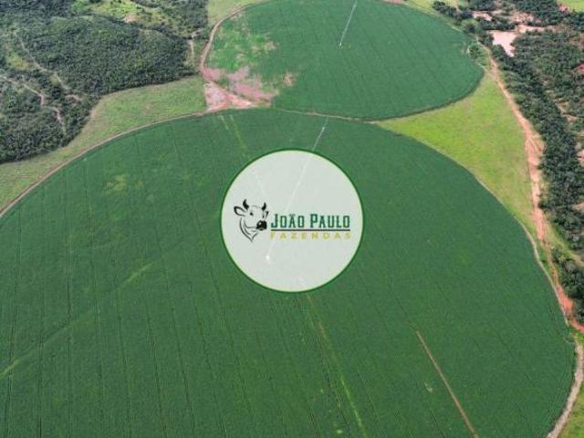 Fazenda a venda em Lagoa Grande MG 159 Hectares Toda montada para produção de leite