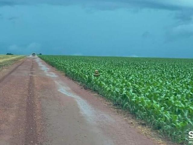 FAZENDA A VENDA EM NOBRES MT