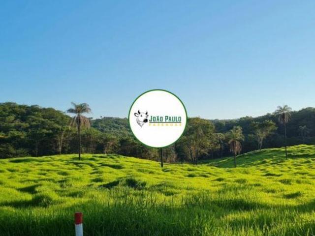 Fazenda a venda em São Gonçalo do Abaeté MG 460 hectares Toda formada e PRODUTIVA DUPLA APTIDÃO