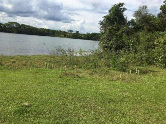 Fazenda à Venda em São Paulo – Zacarias/SP