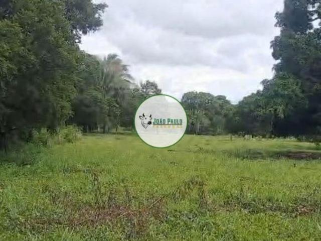 Fazenda a venda Formosa GO 411 Hectares Região de SANTA ROSA