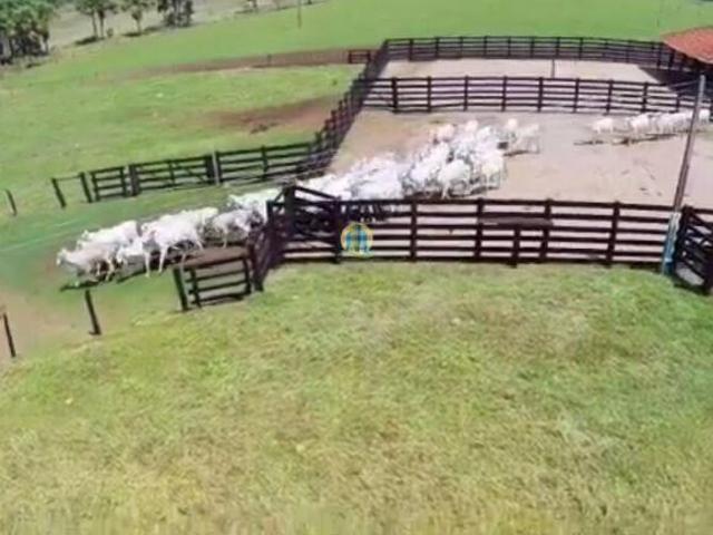 Fazenda à venda em Santa Vitória/MG