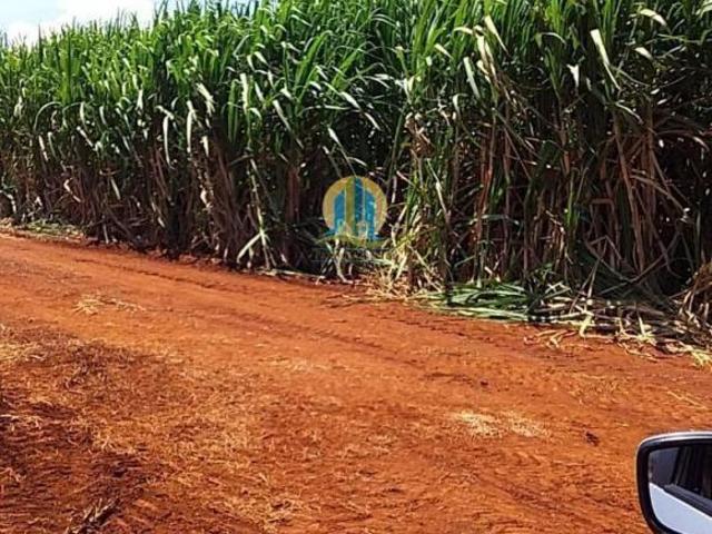 Fazenda a venda em Serra Azul