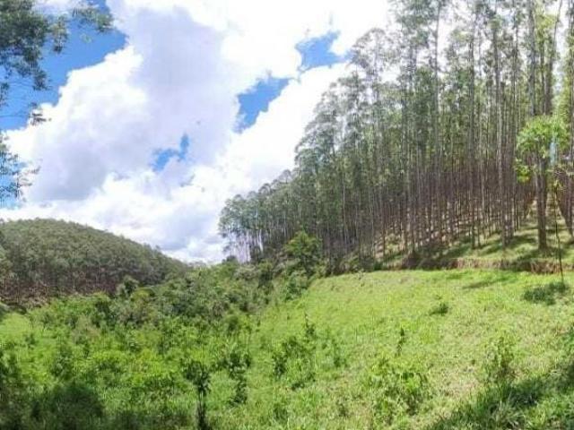 Fazenda à venda em SilveirasSP