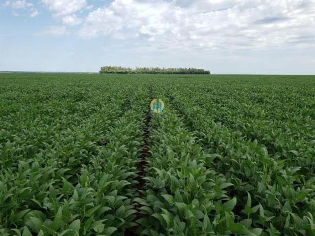 Fazenda à venda em Porto Alegre do Norte/MT