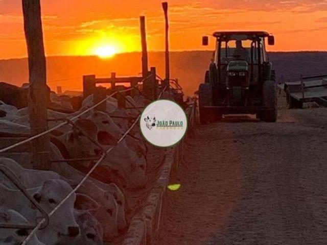 Fazenda a venda em POSSE GO 968 Hectares 500 HA abertos e 380 hectares formados