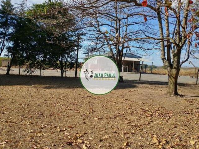 Fazenda a venda em Patos de Minas MG 265 Hectares Plantando 140