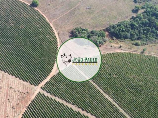 Fazenda a venda em Patos de Minas MG 330 Hectares | 60 HECTARES DE CAFÉ IRRIGADO