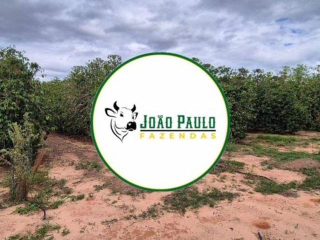 Fazenda a venda em Patos de Minas MG 405 Hectares área de lavoura de café de 130 hectares