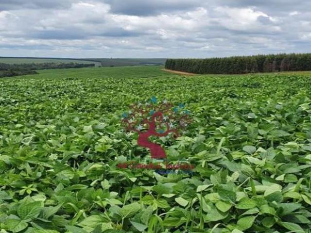 fazenda à venda em Paulistânia