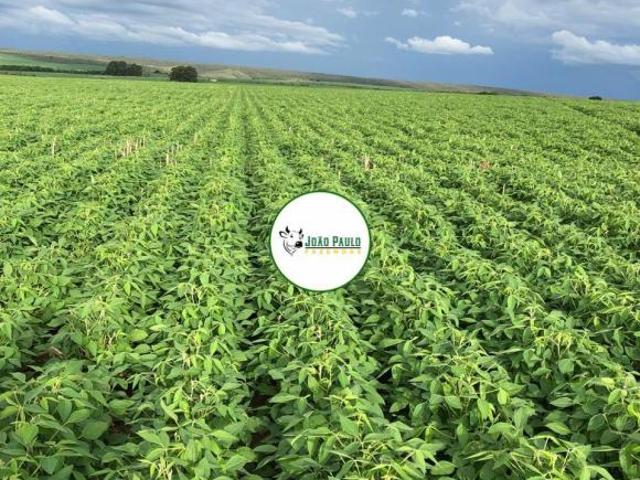 Fazenda a venda em Paracatu MG 1.723 HA Plana Altitude 850/950m