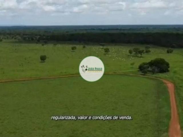 Fazenda a venda em Paracatu MG 1.260 Hectares 900 ha de pasto formado