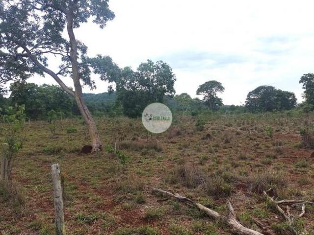 Fazenda a venda em Paracatu MG 303 hectares Muita água 100 HA em pasto