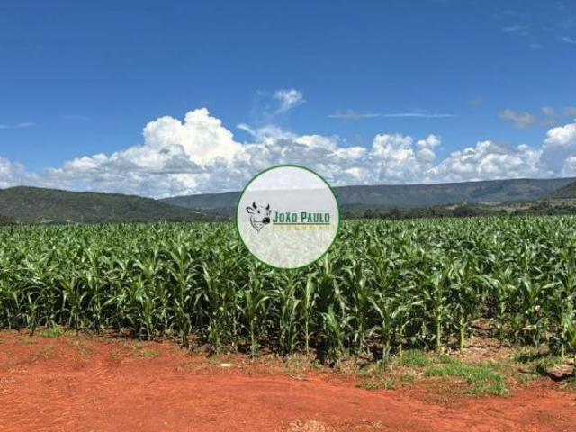 Fazenda a venda em Paracatu MG 769 Hectares Pecuária & Lavoura Estrutura Completa