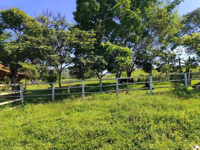FAZENDA À VENDA EM PARACATU/MG 1.300 HECTARES