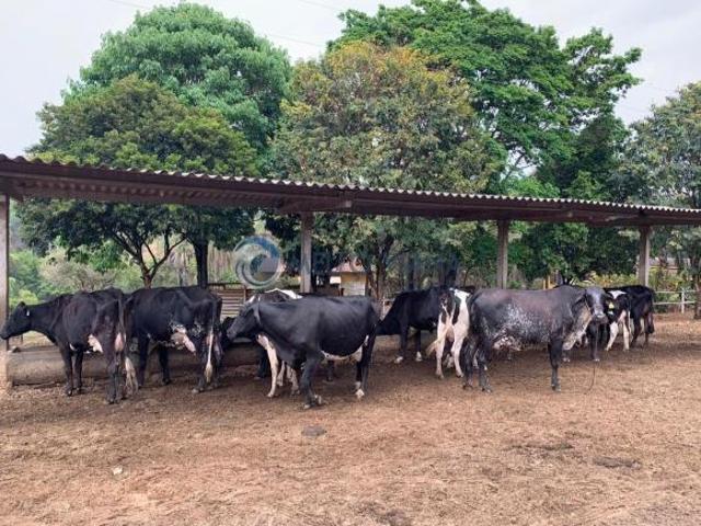 Fazenda à venda em Passos MG, bairro Passos, com 120 hectares de área. Aproveite essa oportunidade!