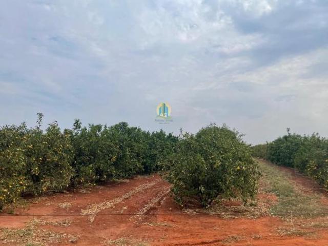 Fazenda à venda em Pedras de Maria da Cruz/MG