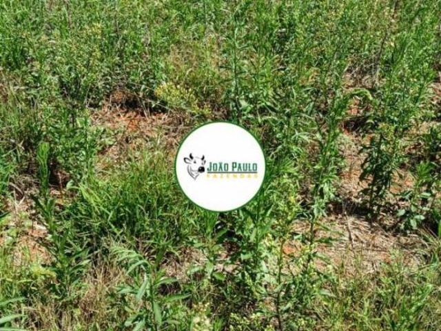 Fazenda a venda em PERDIZES MG 110 hectares Plana Ideal para Café HF grãos
