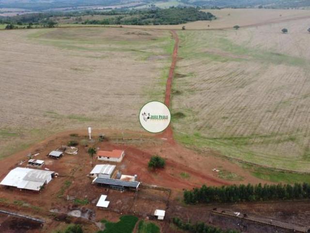 Fazenda a venda em Piracanjuba GO 602 HA Plantando a 20 anos ESPETÁCULO