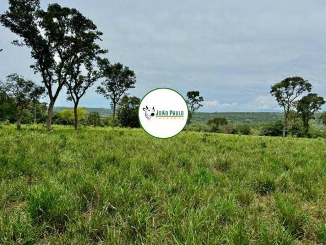 Fazenda a venda em Primavera do leste MT 1.936 hectares DUPLA APTIDÃO