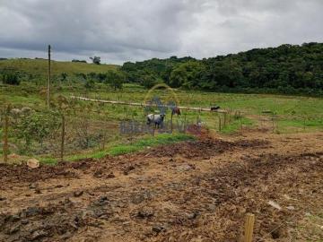 Fazenda à venda em Registro SP. De Porteira Fechada, com produção industrial de leite de búfalas!