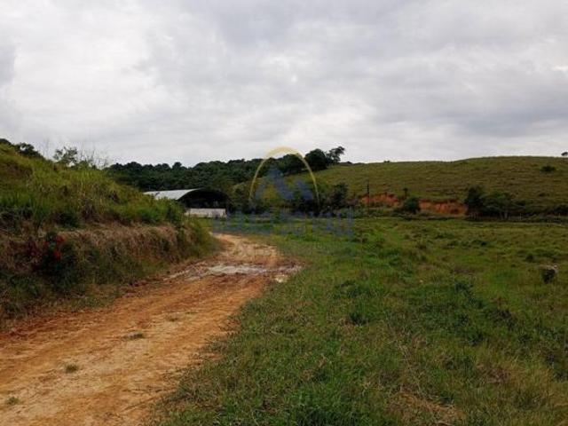 Fazenda à venda em Registro SP. De Porteira Fechada, com produção industrial de leite de búfalas!