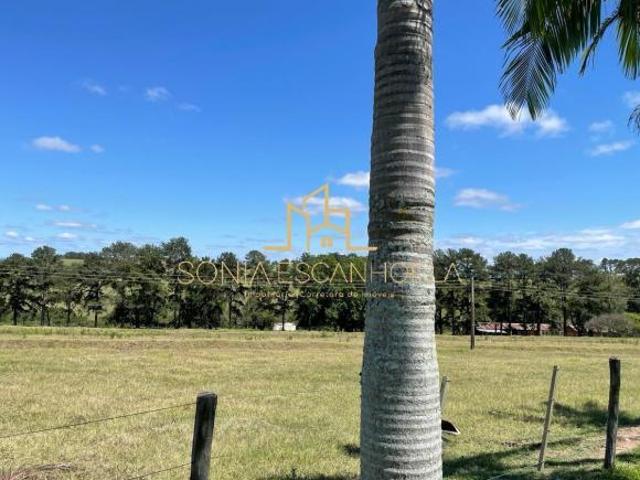 Fazenda à venda em Riversul Excelente oportunidade com 689,07 m² de área e múltiplas aptidões!