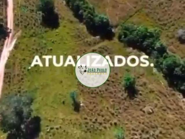 Fazenda a venda em Rubiataba GO 343 Hectares 6 divisões de pastos