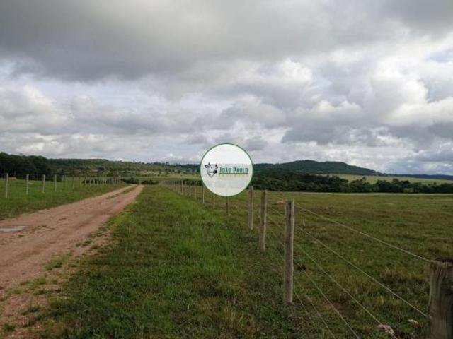 Fazenda a venda em Rubiataba GO 363 Hectares 10 divisões de pasto