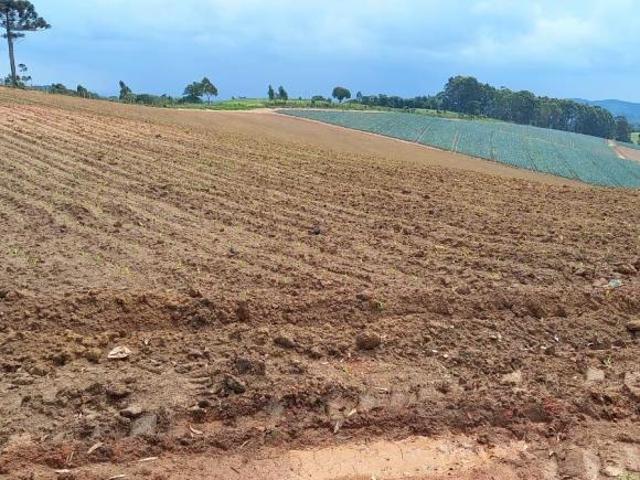 Fazenda à Venda em Toledo MG