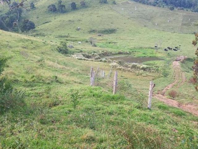 Fazenda à Venda em Toledo MG