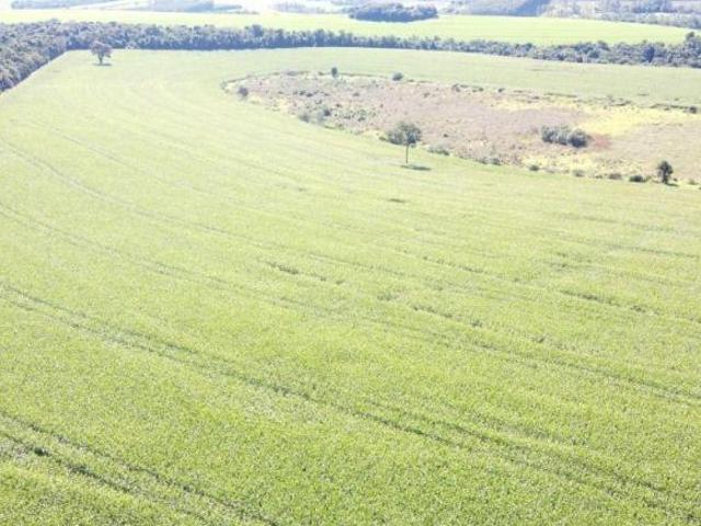 Fazenda à Venda em Taquarituba/SP