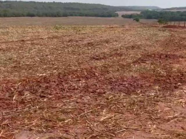 FAZENDA A VENDA EM TESOURO MT