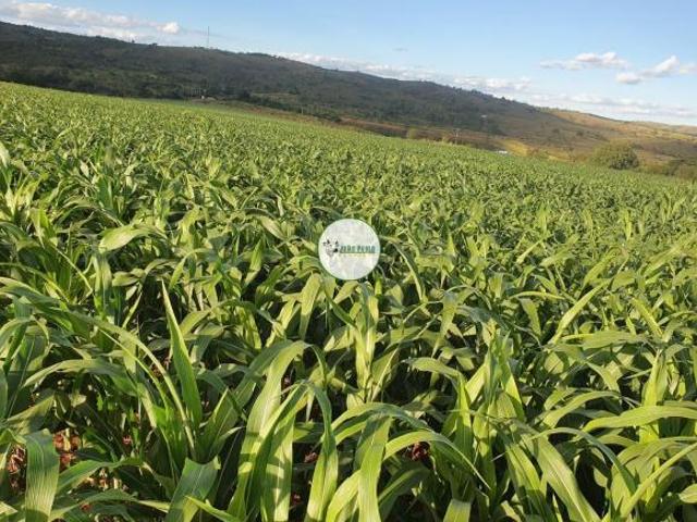 Fazenda a venda em Unaí MG 608 HA 212,95 há em pivôs centrais