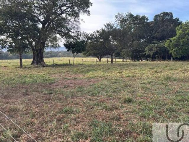 FAZENDA À VENDA EM UNAÍ MG