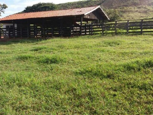 FAZENDA À VENDA EM UNAÍ MG 81,5 HECTARES