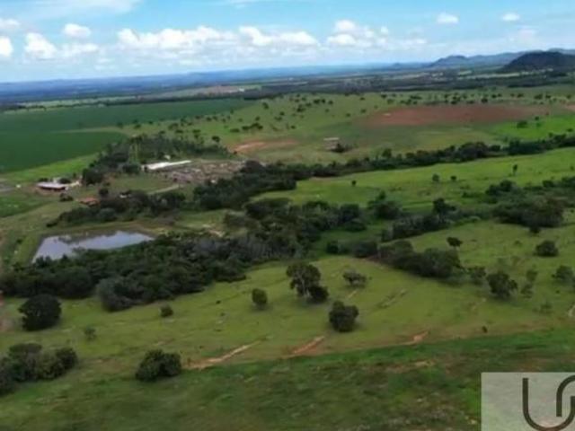 FAZENDA À VENDA EM UNAÍ – MG
