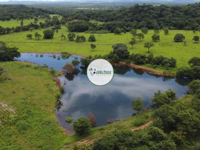 Fazenda a venda em Unaí MG 1.770 HA Área toda aberta com pastos vedados