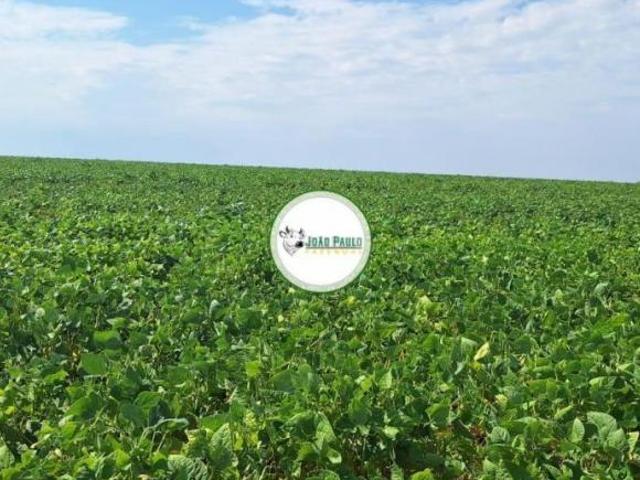 Fazenda a venda em Unaí MG 1.852 HA Irrigada Dupla aptidão
