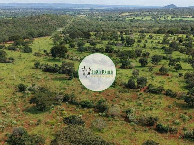 Fazenda a venda em Unaí MG 201 Hectares Ideal para pecuária Fácil acesso