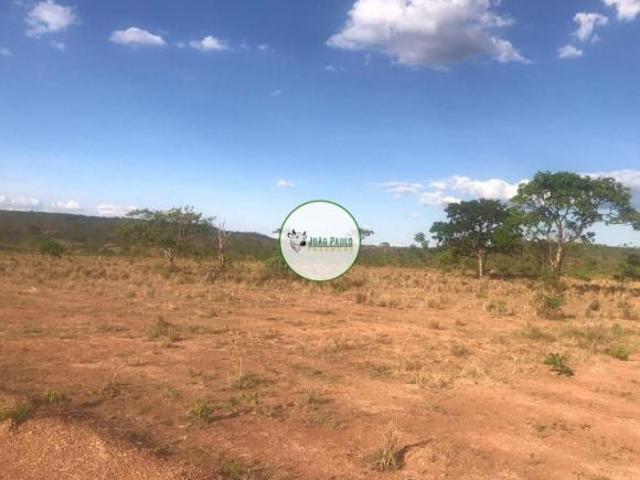 Fazenda a venda em Unaí MG 306 Hectares Toda formada em eucalipto