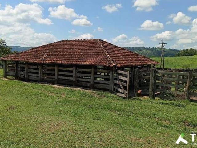 Fazenda à venda, em Vera Cruz SP